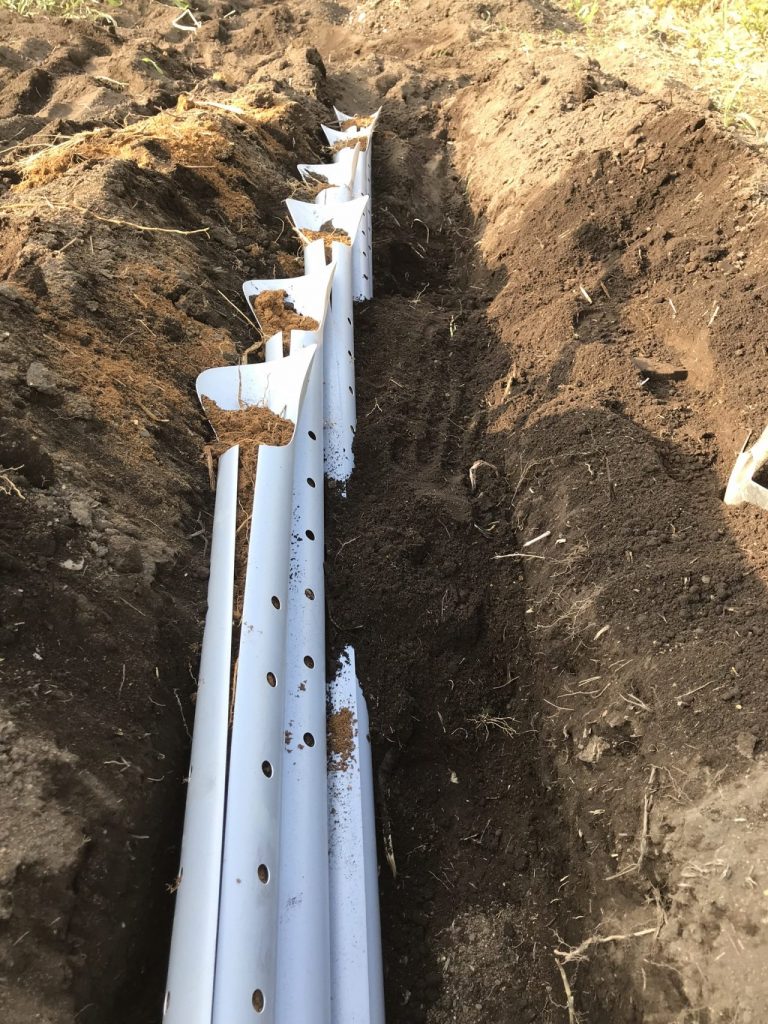 自然薯栽培2019年 Yuukou S 経験値